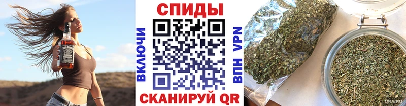 БУТИРАТ буратино Новый Оскол