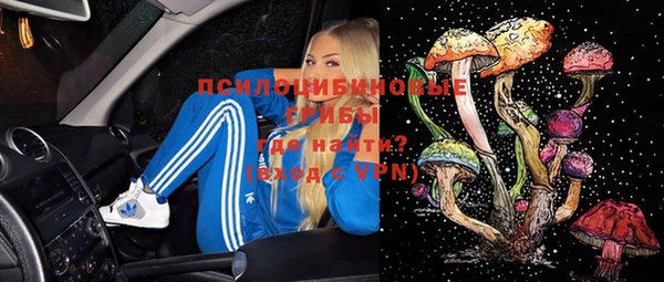 метадон Армянск