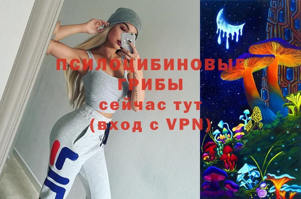 метадон Армянск