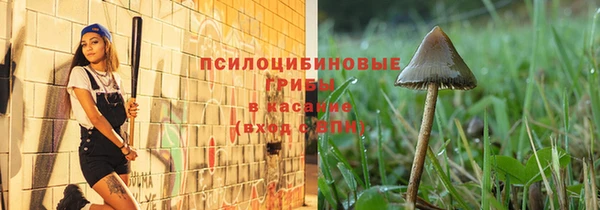 мет Аркадак